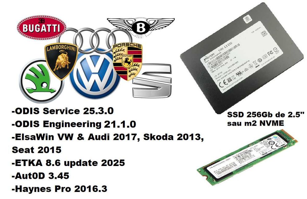 SSD 256Gb ODIS Service 25.3.0 Odis Engineering 21.1.0 ,Elsa ETKA Haynes