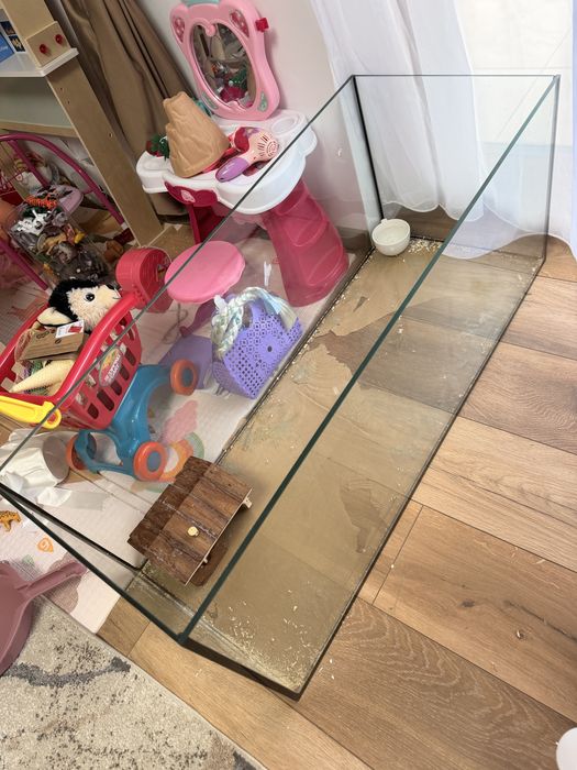 Acvariu rozatoare/ pesti / broaste testoare