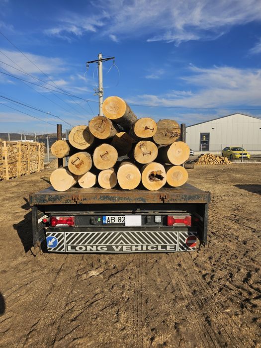 Depozit Lemn Foc Fag