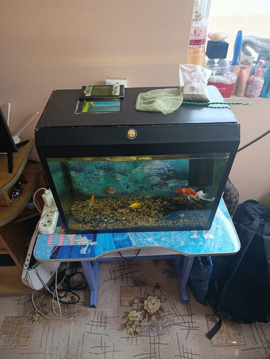 Аквариум с рыбками