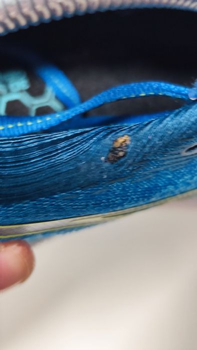 Adidasi alergare Asics Gel-Nimbus 24 - Marimea 43.5