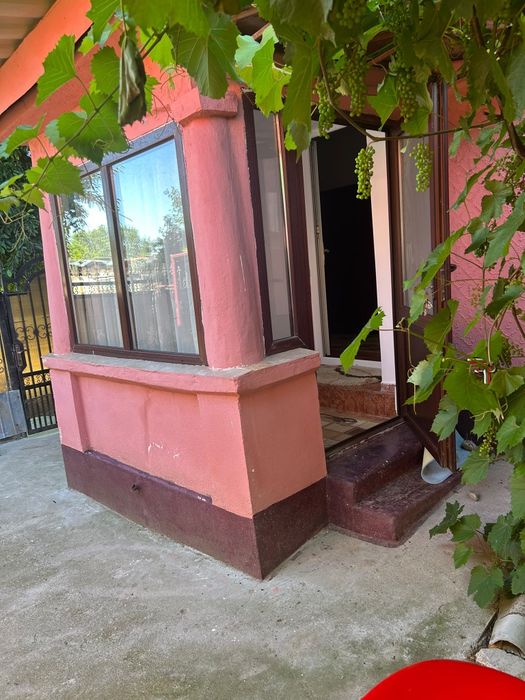Casa 700m/2 comuna Viisoara Teleorman