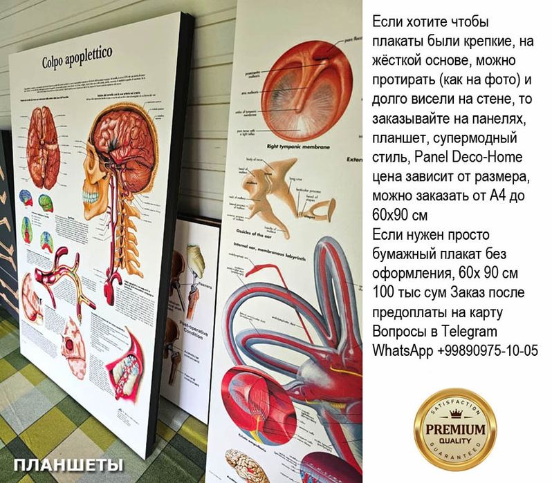 Медицинские плакаты на заказ, большой выбор