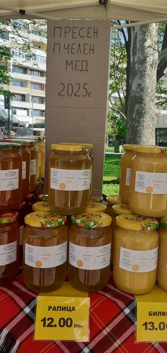 пчелен мед реколта 2025г