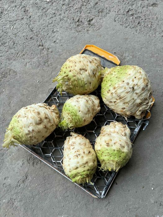 Țelina - vânzare Angro