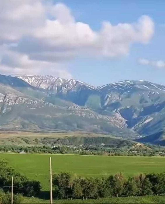 Тапчаны в районе Бургулюка