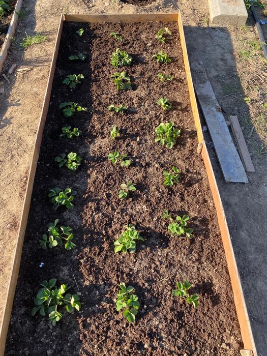 Продается дача в черте города