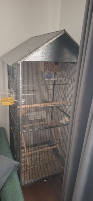 Colivie si o pereche de peruși