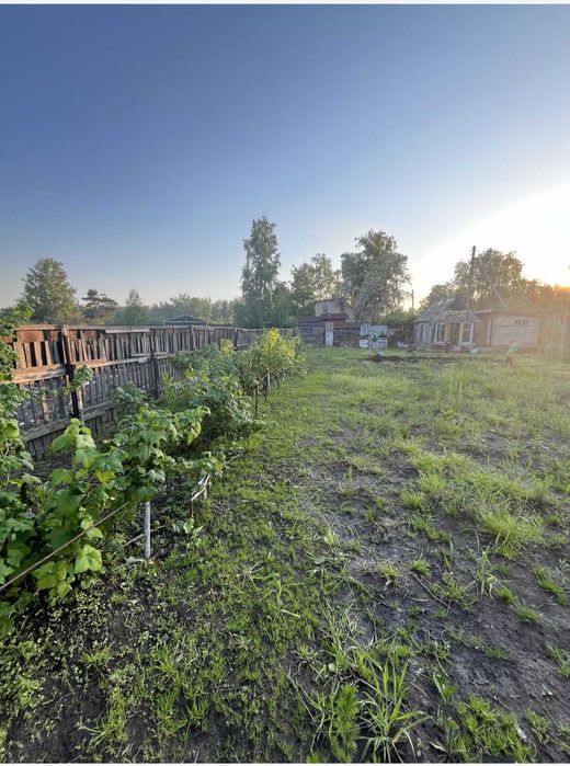 Дачный участок в СО Горизонт