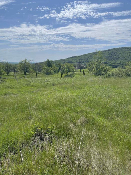 Продава се Парцел в с. Винарово, Област Стара Загора - 1720 кв.м за 25 €/кв.м - Снимка #5