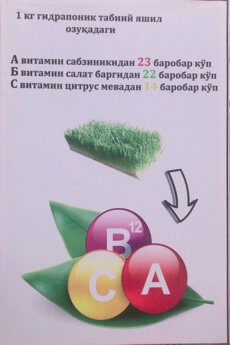 Гидрапоника оборудование установка килиб берамиз