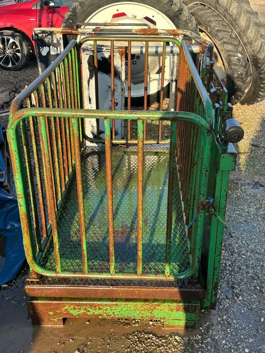 Cantar animale bovine/ovine