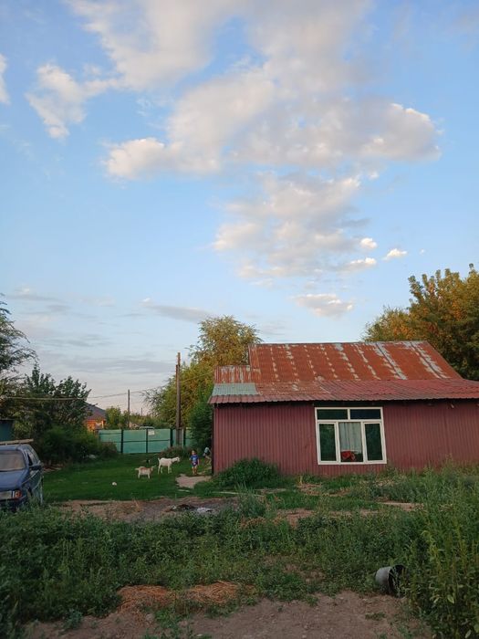Уй сатылады Байдибек би