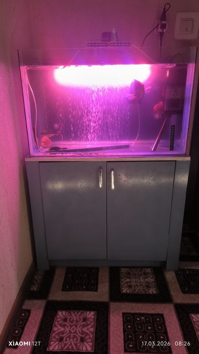 Аквариум с рыбками