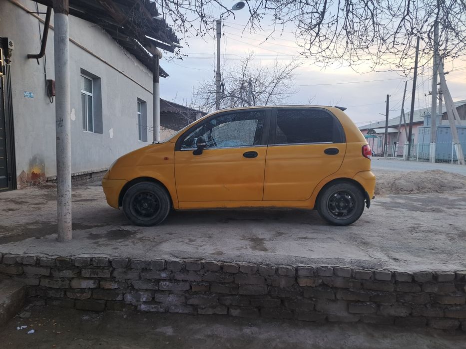 Motiz 2010 yil meton bor