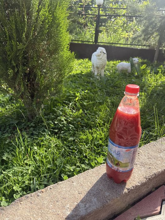 Продам кобру,чертополох,аджику.