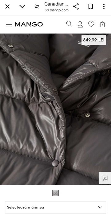 Canadiana  matlasata Mango