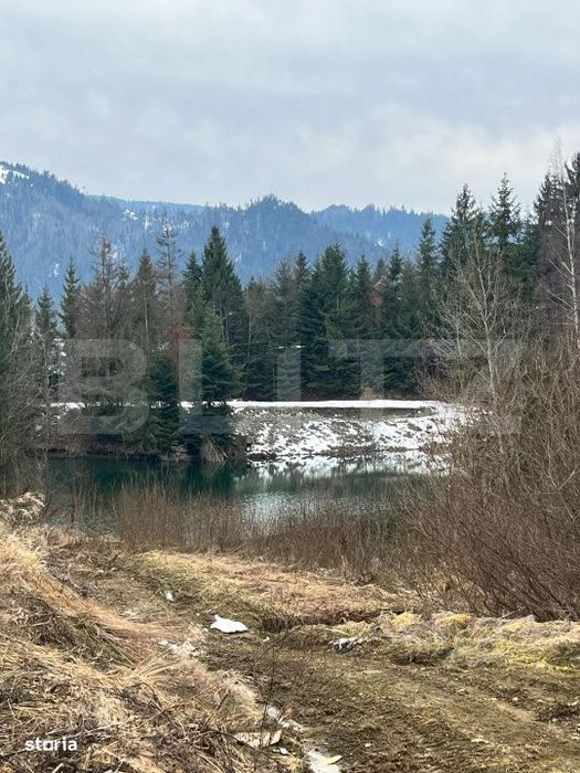 Teren de 10 ari, zona Colibita langa lac