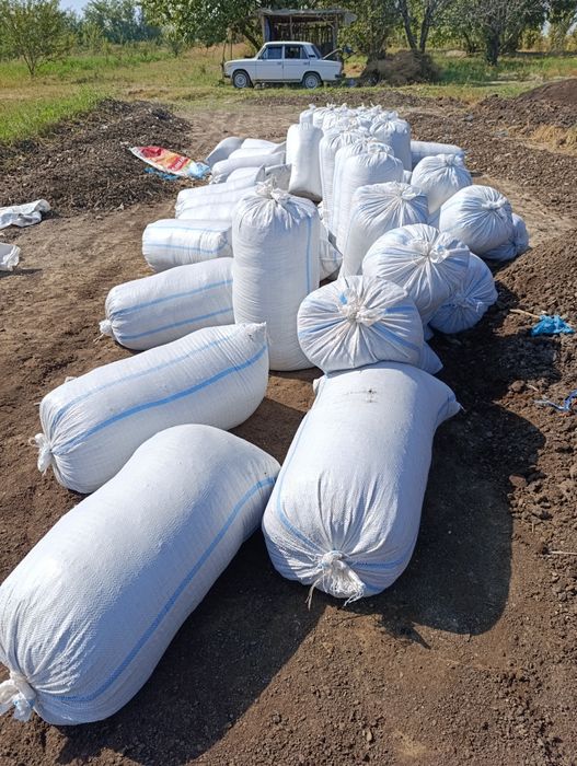 Bio gomus tabiy mahsulot