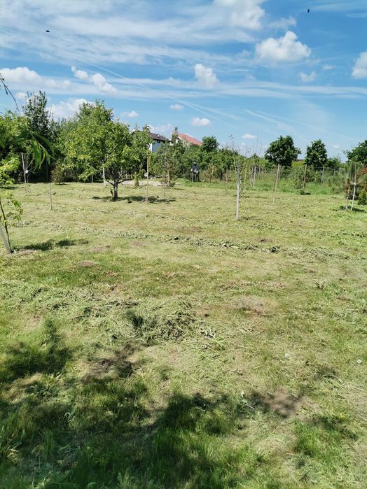 Tund gazon iarbă bălării ierbicidăm