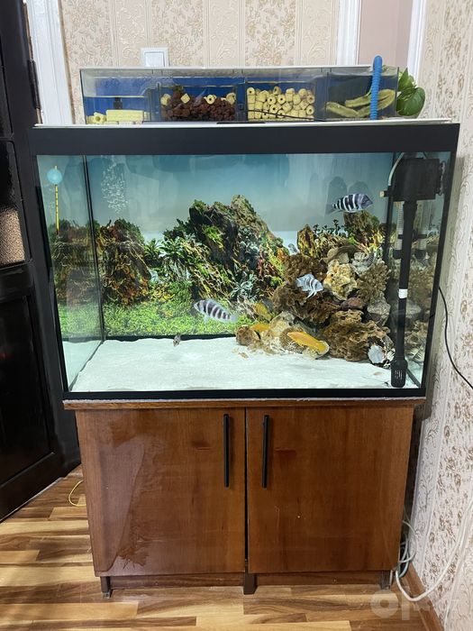 Akvarium 250 L + tumba, filtr va barcha jihozlari bilan