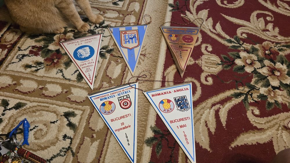 Fanioane fotbal Romania