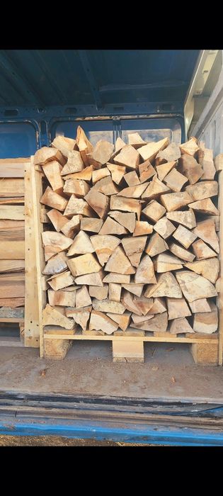 Vind Lemne de foc USCATE Fag Paletat