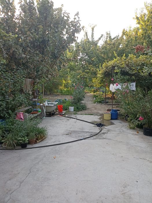 Продается дом с большим участком