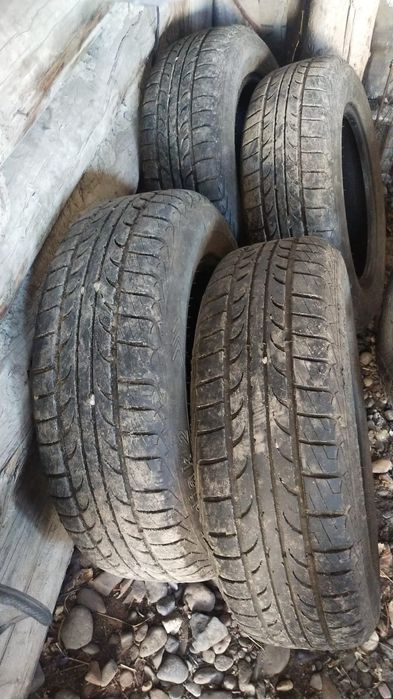 Продам резину Tunga