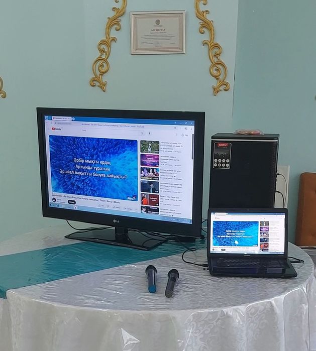 Колонка в аренду караоке