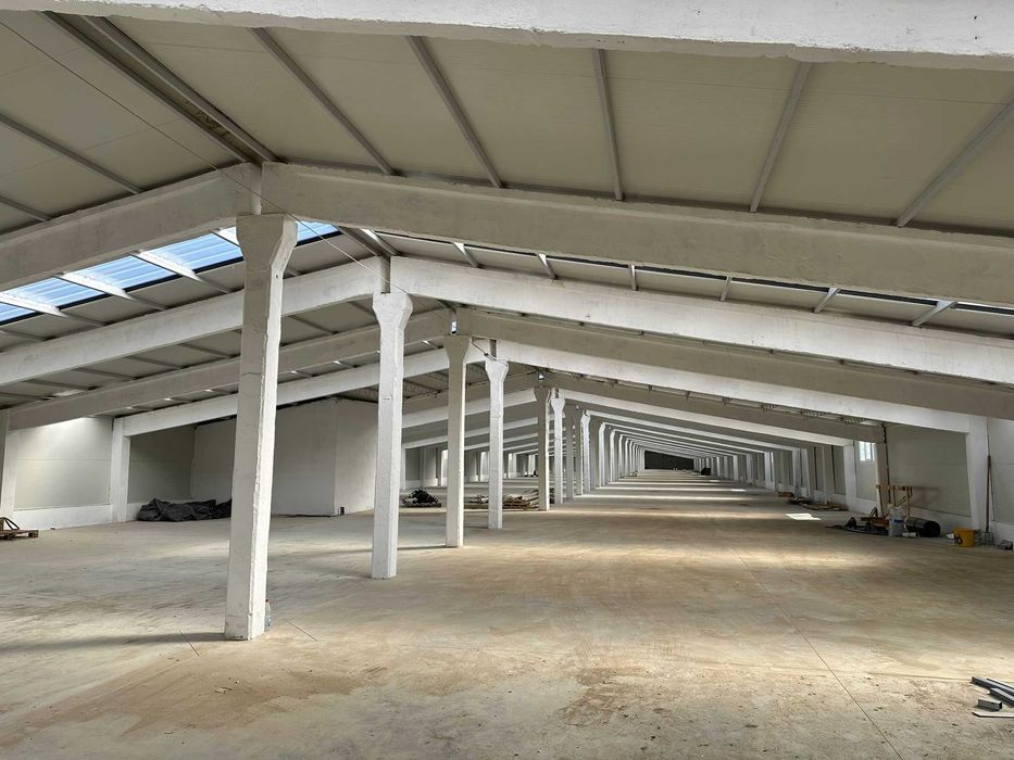 Hala industriala de vanzare in Palota