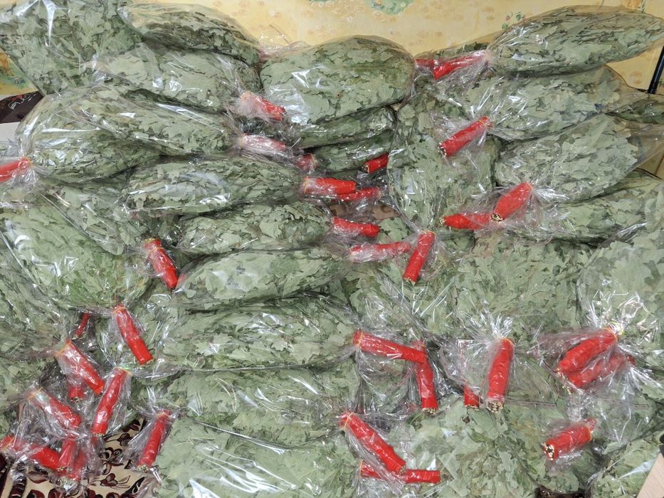 Продам  веник дубовыи