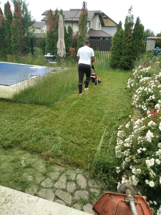 Amenajari gradini și sisteme de drenaj și irigatie si  întreținere