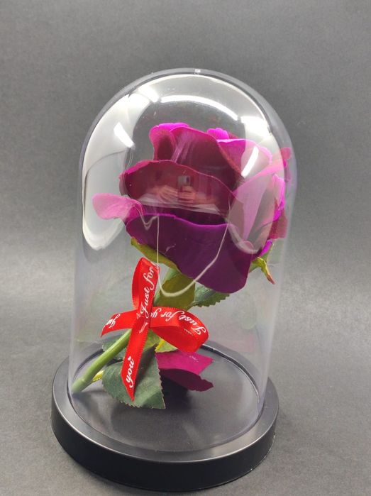 Trandafir de catifea in cupola de plastic