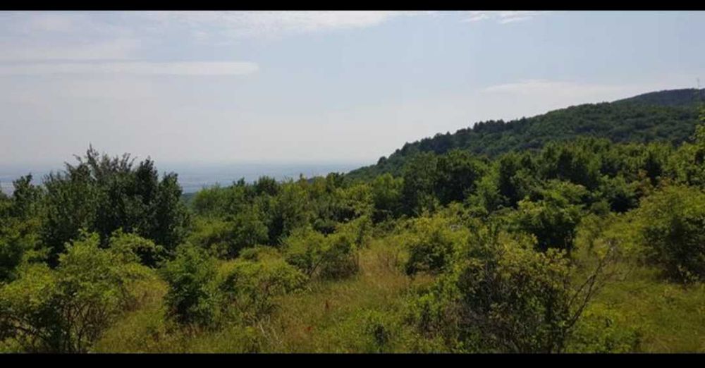 Продава се Парцел в с. Руен, Област Пловдив - 3362 кв.м за 28 €/кв.м - Снимка #2