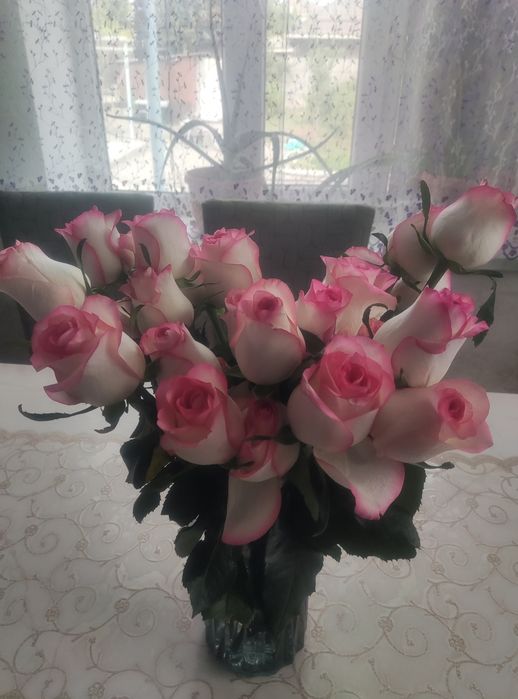 Продам разы розы