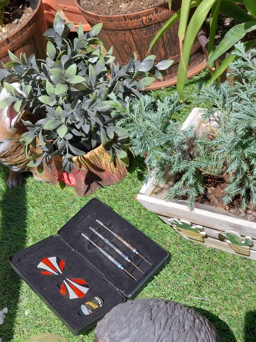 Set sageti darts Ignat Games