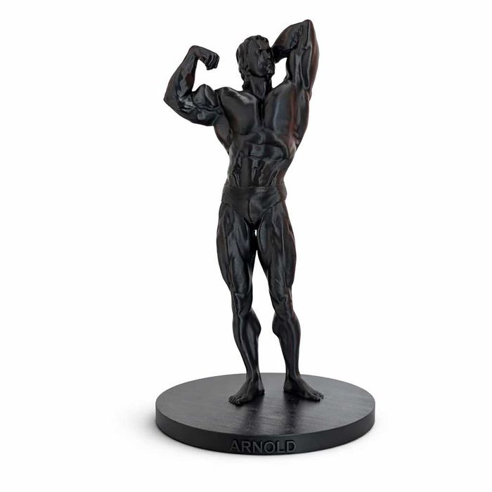 Mr.Olympia Arnold, Lee Haney, Dorian Yates, Ronnie Coleman, Jay Cutler