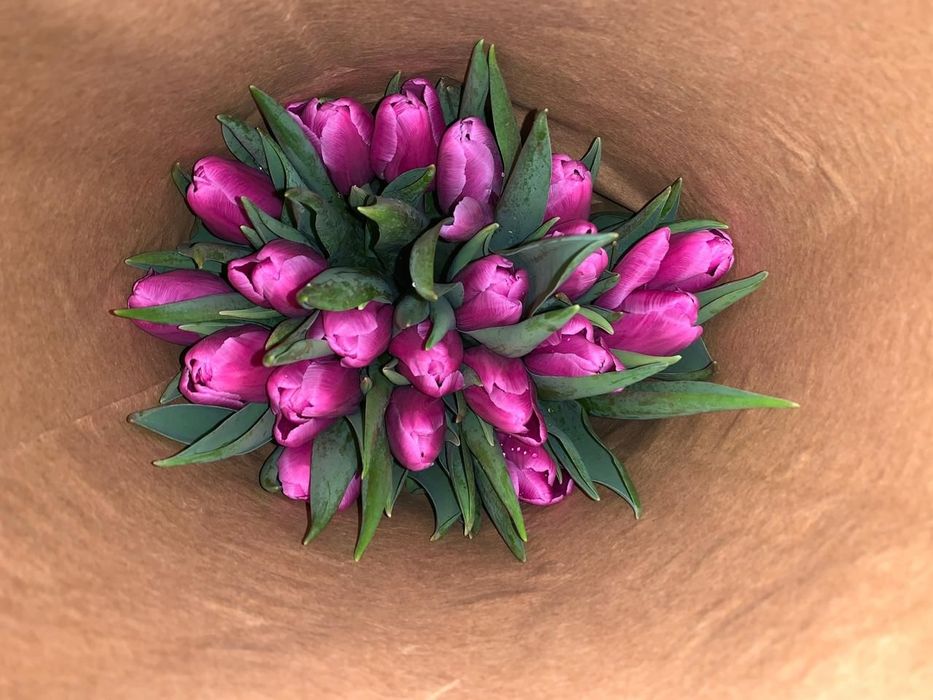 Голландские тюльпаны оптом и в розницу.