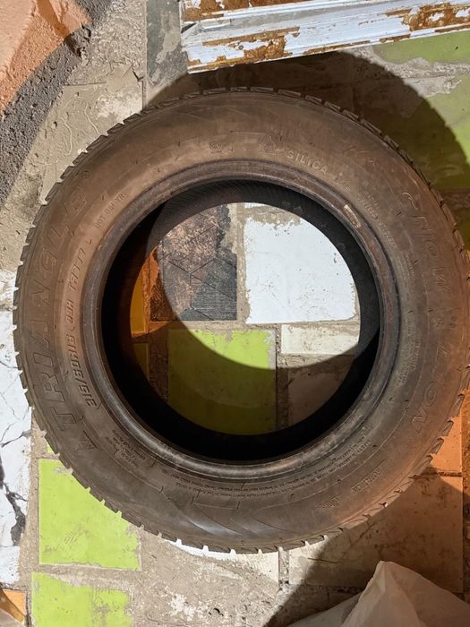 Шина тренджл сост 10/10