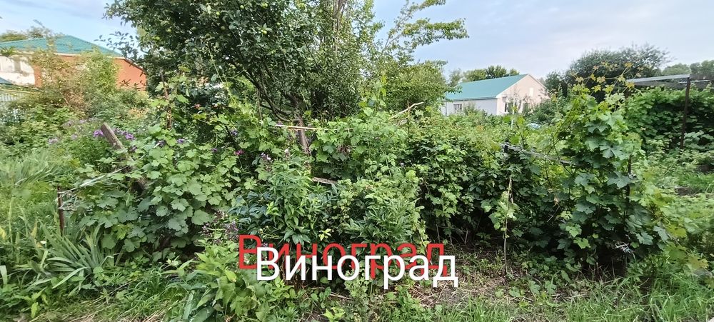 Продам дачу в хорошем состоянии.