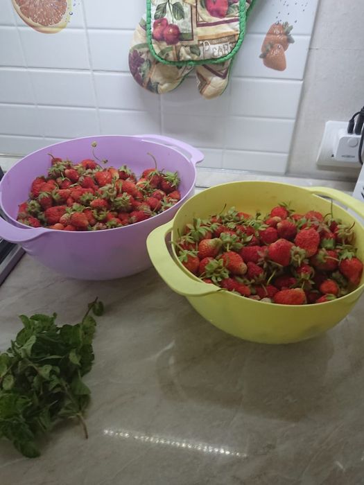 Продам саженцы клубники