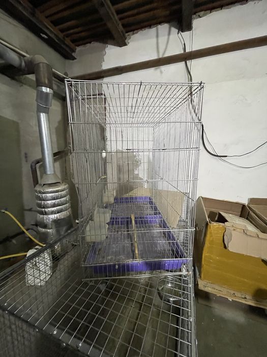 Qafas narxi vapshem arzon