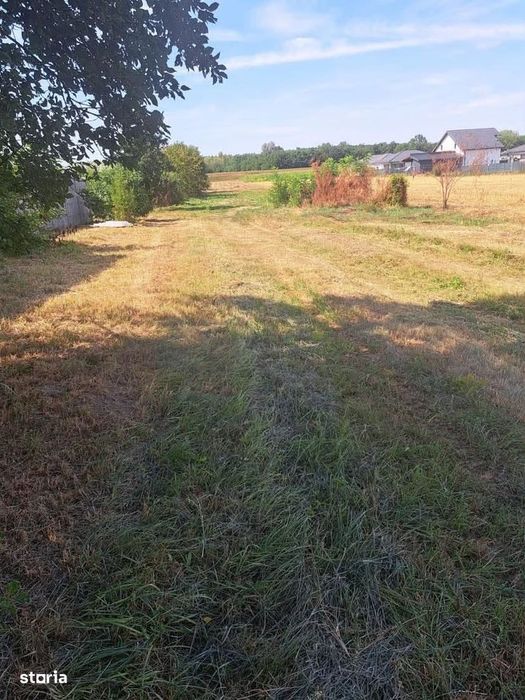 3 parcele de vanzare , zona Martinesti , 6 ARI parcela , 25.000 euro .