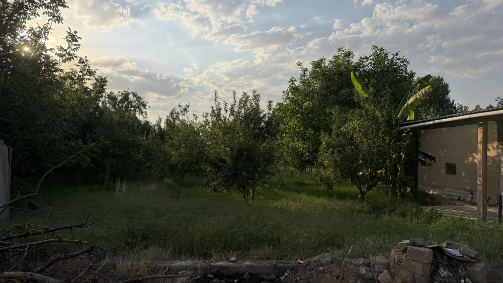 surumda arendaga uchaska