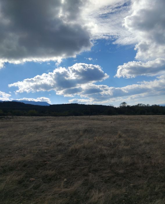 Продава се Парцел в с. Ресилово, Област Кюстендил - 1000 кв.м за 36 €/кв.м - Снимка #2