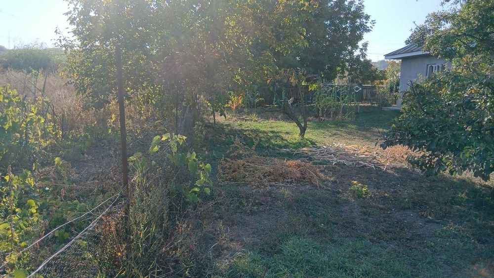Teren de vanzare -Margineni, Barati