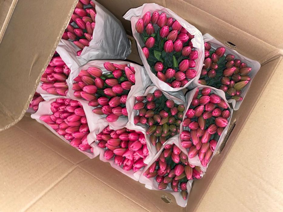 Тюльпаны в сумках