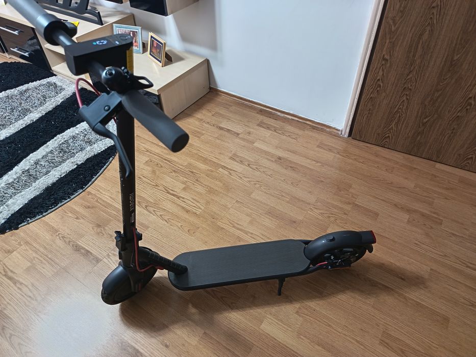 Trotineta scooter