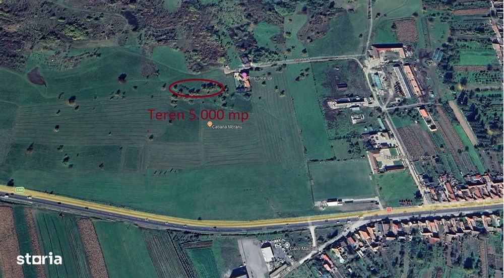 Teren 5000 mp la Bradu